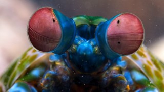 Крошечный мир 2 сезон 5 серия