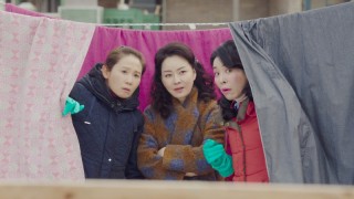 Любовное приземление 1 сезон 7 серия