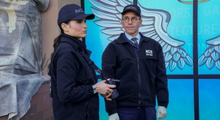 Морская полиция: Спецотдел 19 сезон 17 серия