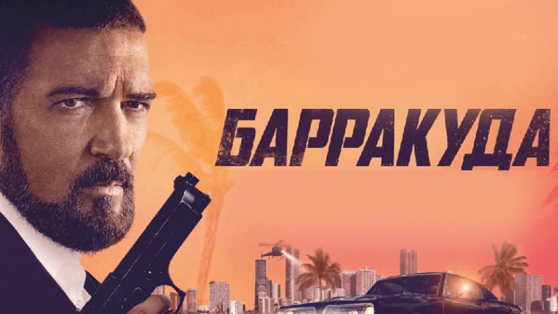 Барракуда