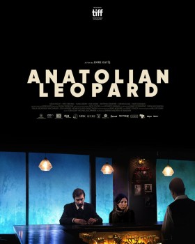 Анатолийский леопард постер