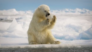 Великаны планеты 1 сезон 10 серия
