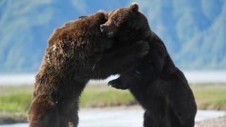 Великаны планеты 1 сезон 6 серия
