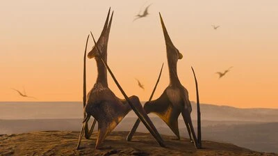Доисторическая планета 2 серия Доисторическая планета 2 серия