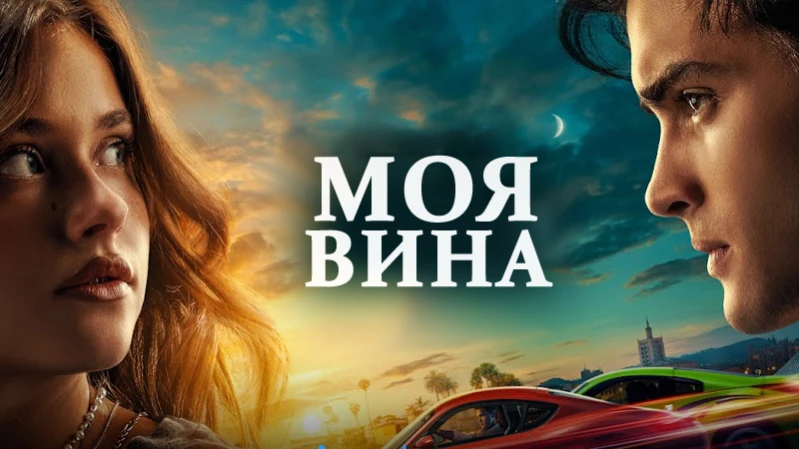 Моя вина